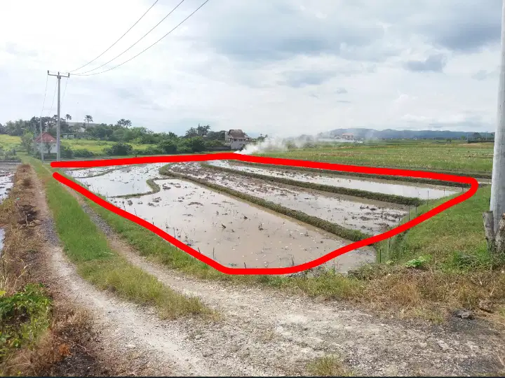 Tanah 32,5are dekat pantai beraban,villa babar,tabanan