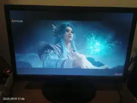 Monitor LCD LG 19
