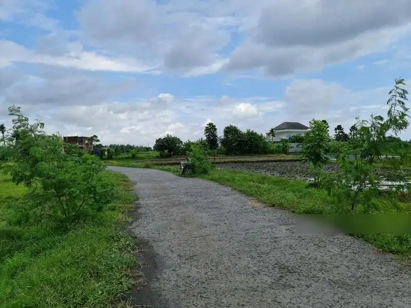 Dijual Lokasi Tanah Exclusive View Sawah Di Pantai Kedungu