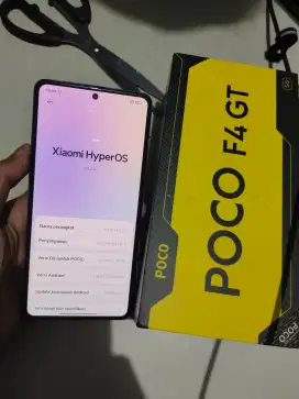 Poco F4 GT 12/255GB
