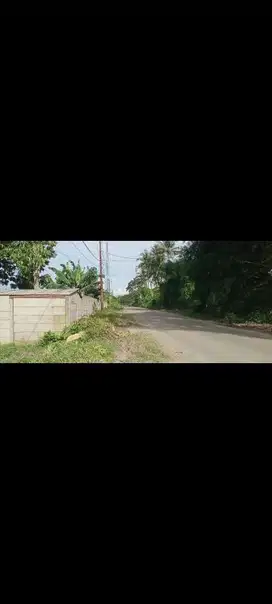 dijual tanah di cisauk
