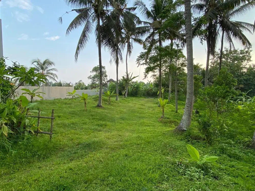 Dijual tanah di pantai Balian selemadeg barat,kab Tabanan Bali
