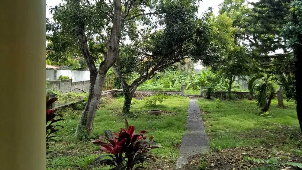 Dijual Tanah Strategis di Batu Belig–Lokasi Premium di Tengah Seminyak