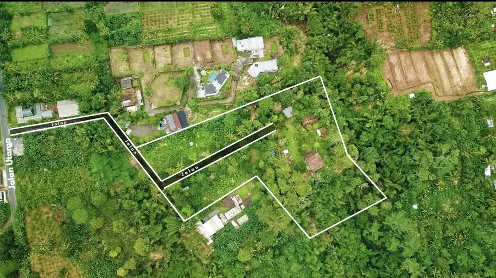 Jual tanah payangan ubud gianyar natural view