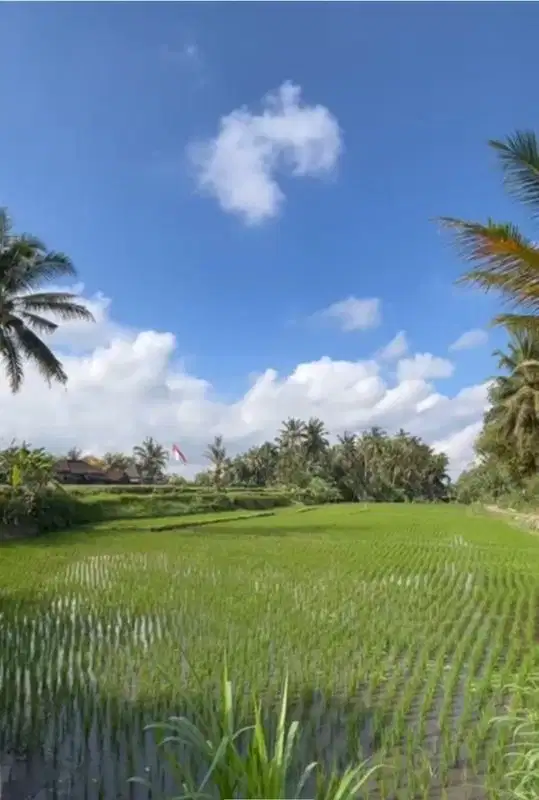 Leasehold Land Link Villa Tourism Zoning Junjungan Ubud