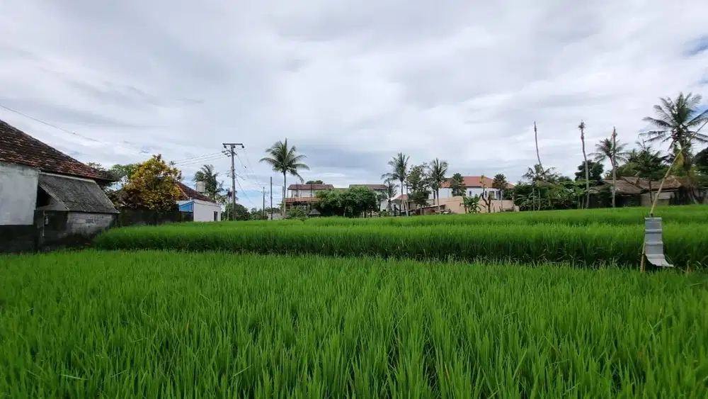 DIJUAL SEBIDANG TANAH EXSLUSIVE DENGAN VIEW RIVERSIDE