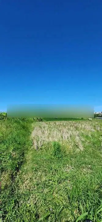 Di Jual Cepat Murah Tanah Dikawasan Pantai Berawa, Canggu Bali
