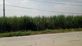 Dijual tanah lokasi strategis Mojokerto