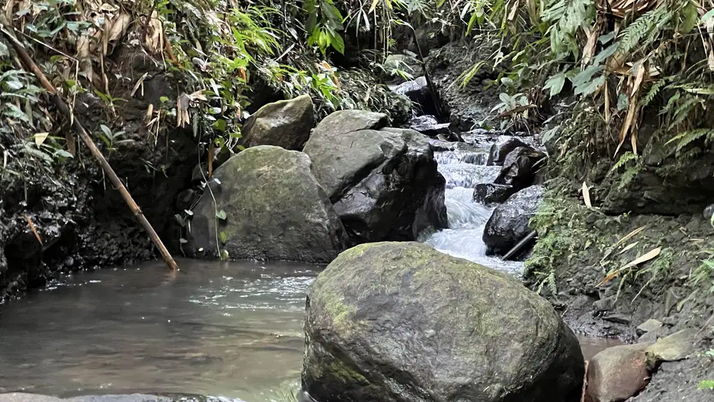 tanah perkebunan los sungai view sawah dan gunung