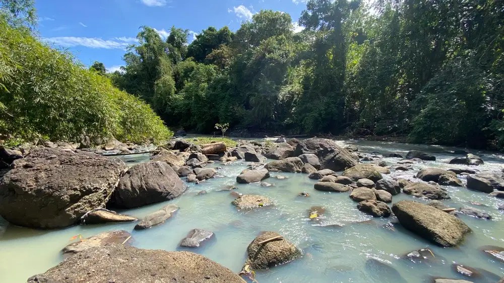 Tanah dekat pantai los sungai cocok untuk villa di tabanan