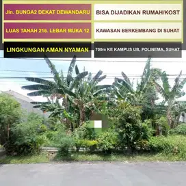 Tanah Murah Luas 216 di Bunga2 dekat Dewandaru Merak Kampus UB Suhat