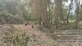 Tanah 8094 m2 Harga Terjangkau di Serpong Cocok untuk Cluster