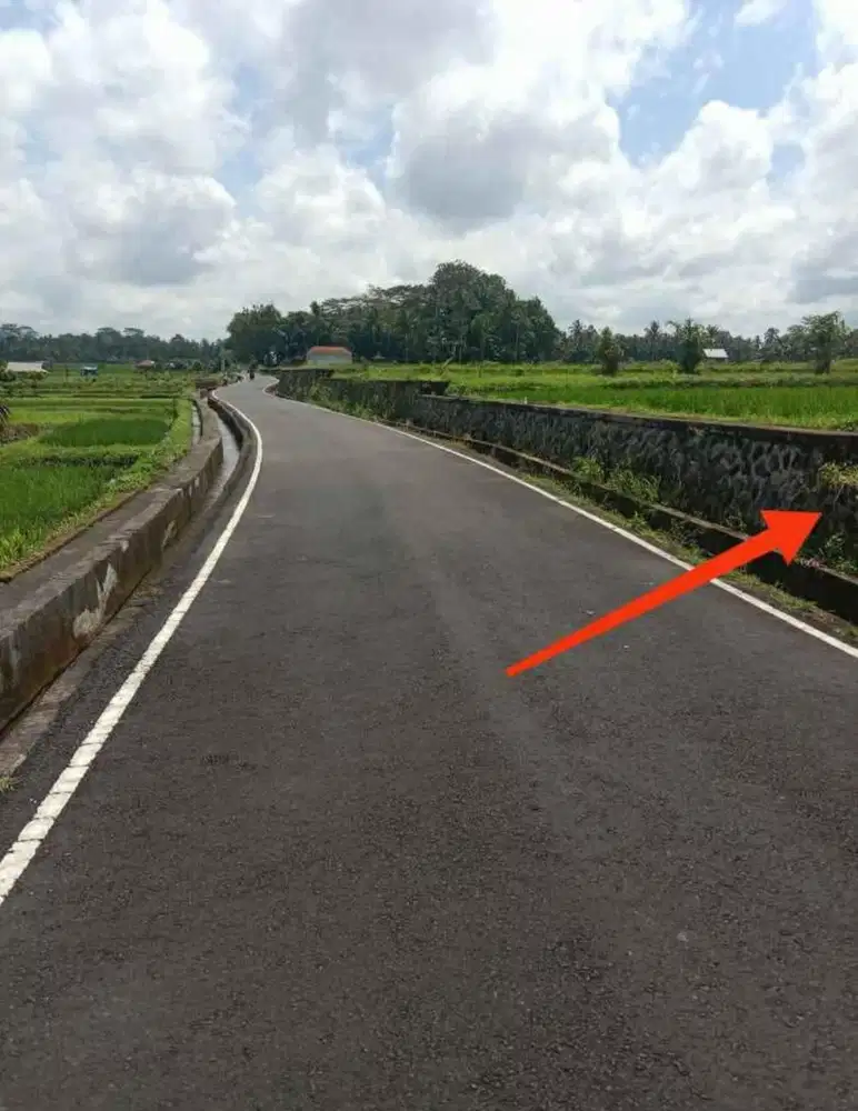 Jual tanah mengwi sembung 46are