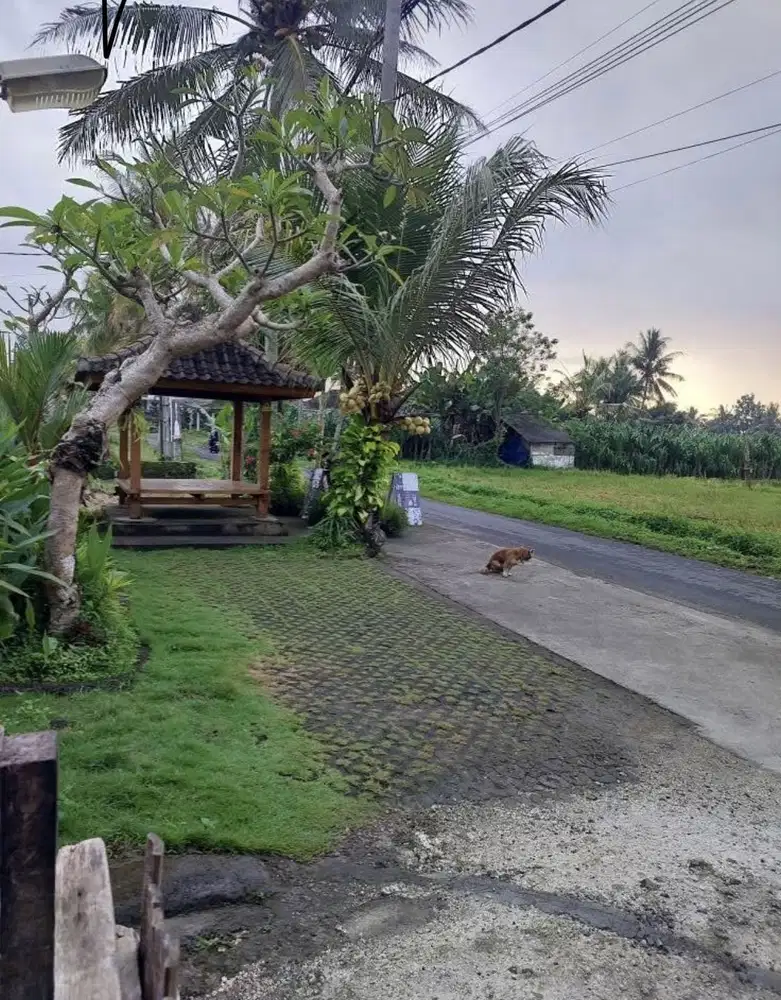 Jual tanah blayu perbatasan mengwi bonus bangunan Ex resto