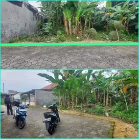 Tanah pekarangan popongan dekat sekali kampus UGM