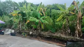 Dijual Tanah di Jrobang Ngesrep Banyumanik Semarang