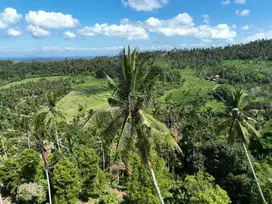 Tanah Murah Los Sungai View Sawah Berambang Jembrana Bali