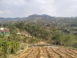 Dijual Tanah Padat view keren Pasirjambu Ciwidey Bandung