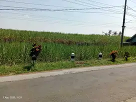 TANAH DATAR SEBELAH PERUMAHAN LOKASI TAMBAK SARI PAKISAJI MALANG