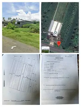 Tanah murah ponggir.jalan raya daendles barat bandara NYIA