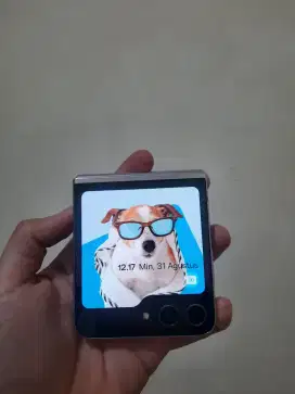 Samsung z flip 5 256gb minus