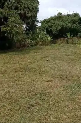 dijual Tanah komersil BSD dekat Tol,Tangerang