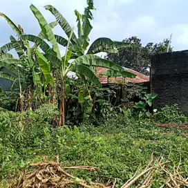 Tanah 5050 m pinggir Jl Pamoyanan Raya, kp Bera Pamoyanan  Bogor Selat