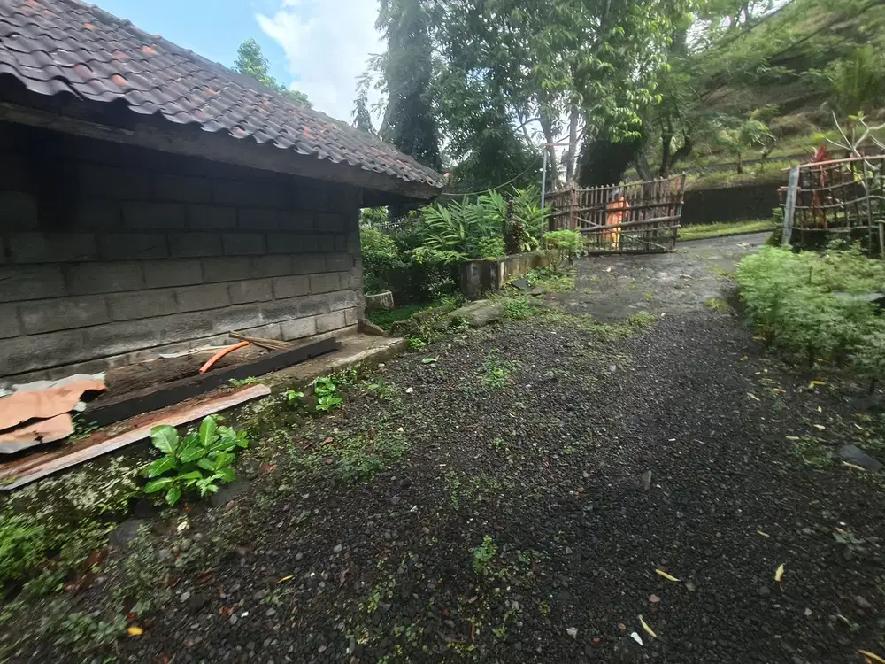 TANAH MURAH KEMENUH_UBUD