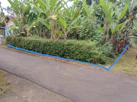 Dijual Tanah Pekarangan di Moyudan Godean Sleman