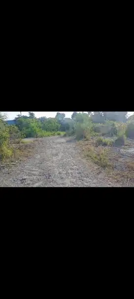 disewakan tanah di gunung sindur