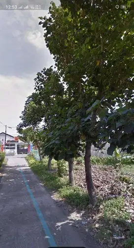 Tanah cocok untuk hunian lokasi belakang Luwes Mall Gentan
