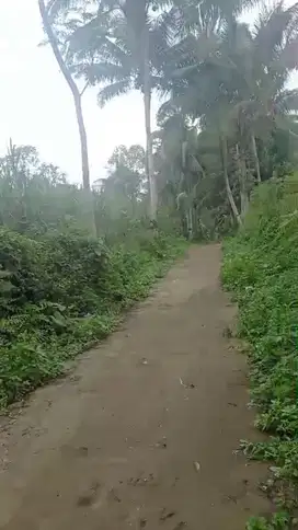 Tanah Kebun Jatisari Tajinan Malang Kabupaten