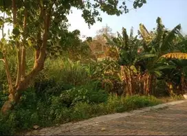 Jual Tanah Jl.Candi Kalasan Semarang Barat- 10161
