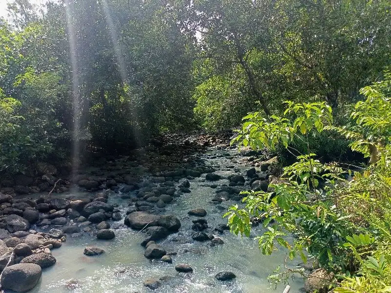 tanah view sungai besar telaga Tunjung 51are 35jt/are nego