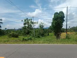 Dijual Tanah Seluas 9.758 m2 Seharga Rp 167 jt di Bolaang Mongondow