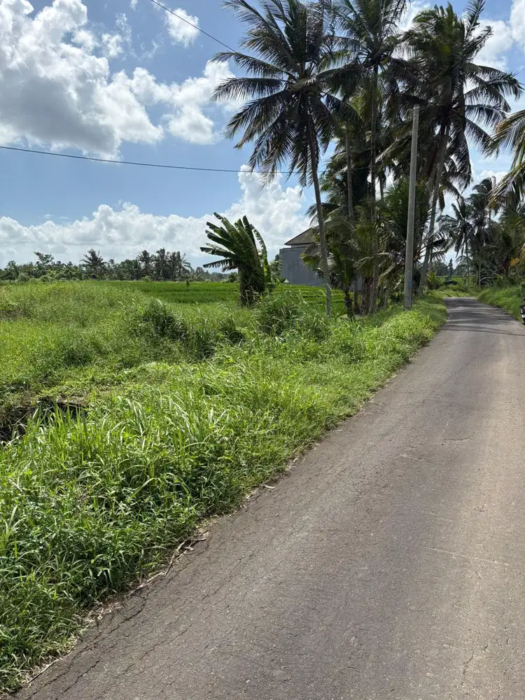 Jual tanah kerambitan tabanan