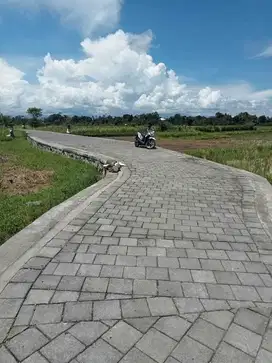 Jual tanah ubud singapudu kaler