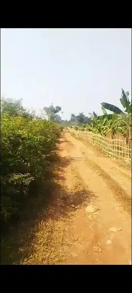 dijual tanah dekat jalan maloko di Cisauk