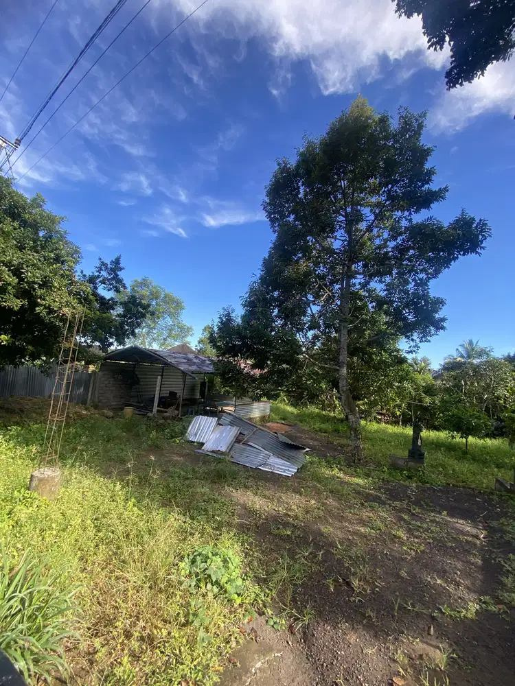 Jual tanah selemadeg antosari tabanan