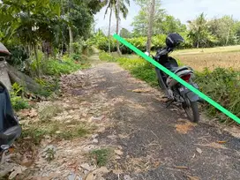 TANAH SHM  DONOHARJO NGAGLIK JL PALAGAN KM 13