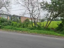 Tanah Basah Zona Kuning ( bisa dikeringkan ) Dekat Solo Baru