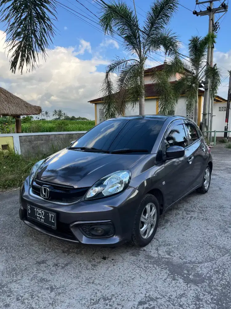 Brio Satya 2016 Manual