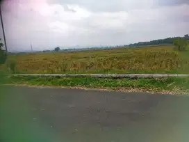 jual murah tanah d  bareng   . rumah hunian .bengkel  gudang