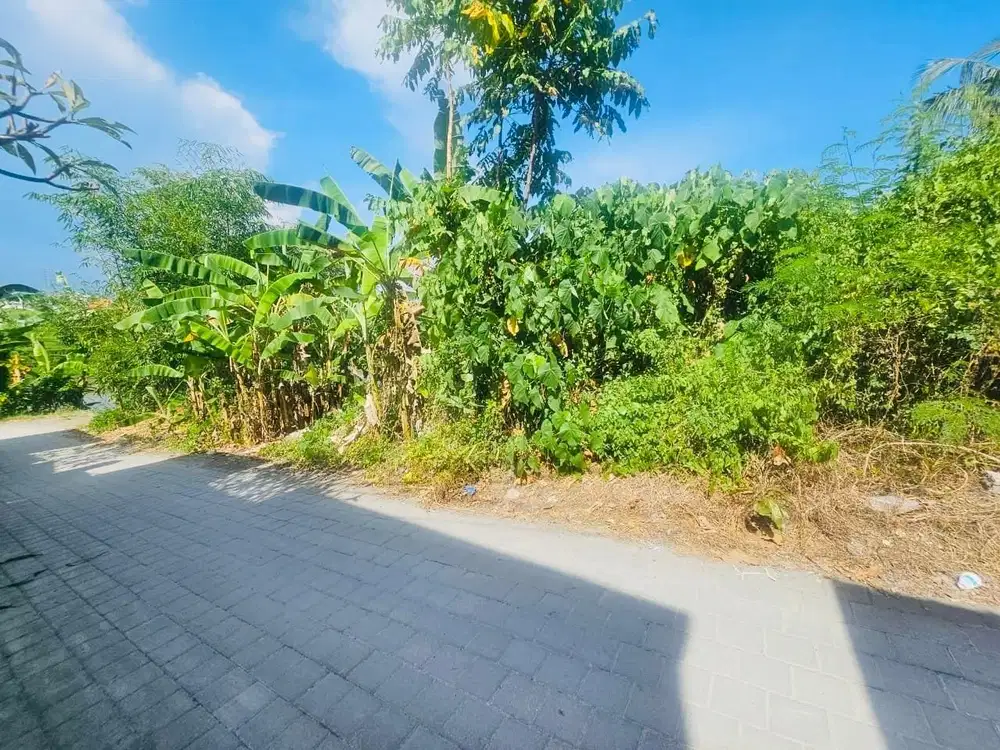 Tanah Premium Munggu Tabanan