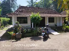Rumah model limasan dijual di Tempel Sleman, Lt 212m2.
