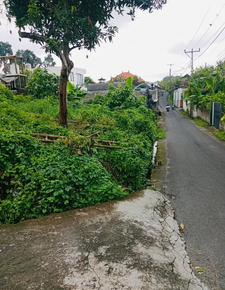 Tanah Tumbak Bayuh Mengwi Badung Bali