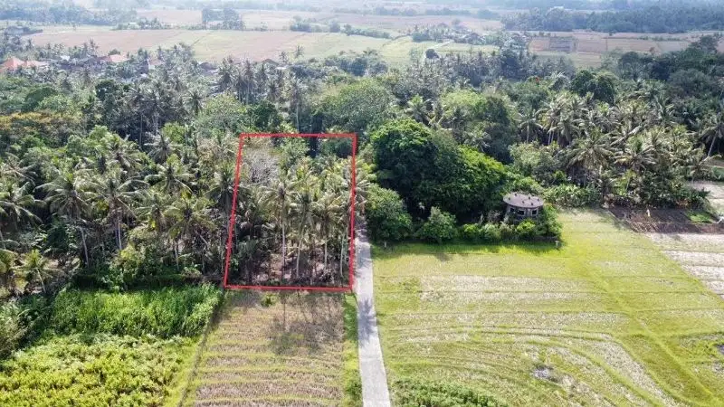 Tanah Murah Kerambitan Tabanan Bali