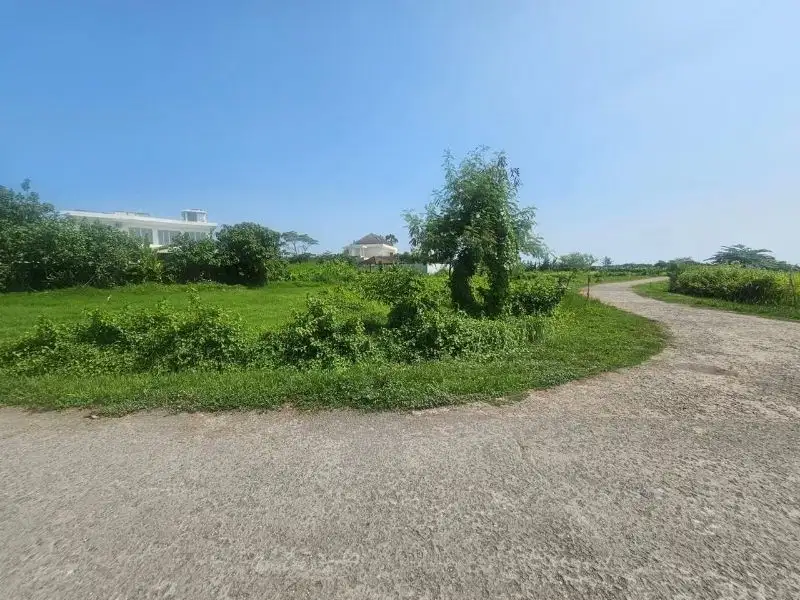 Tanah Pantai Kedungu Tabanan Bali