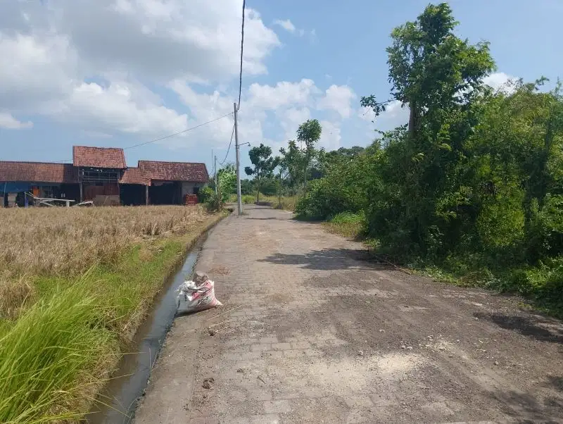 Tanah Murah Los Sungai Nyitdah Kedunggu Bali