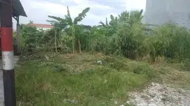 Tanah siap bangun belakang SMPIT Nur Hidayah Sumber Solo